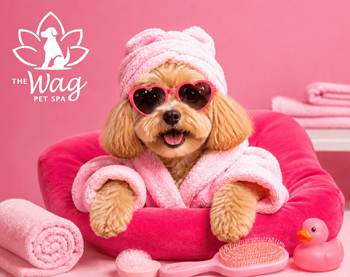 Pet spa